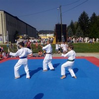 HRVATSKI OLIMPIJSKI DAN