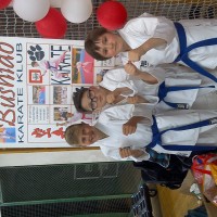7. BUSHIDO KARATE KUP PRIJATELJSTVA 2015.