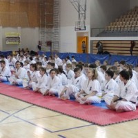 KROKIĆ KUP SAMOBORA 2014.