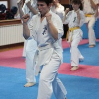 ISPIT ZA KYU VIŠE POJASEVE