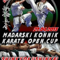 MADARSKI KONIK, SHUMEN 2013.